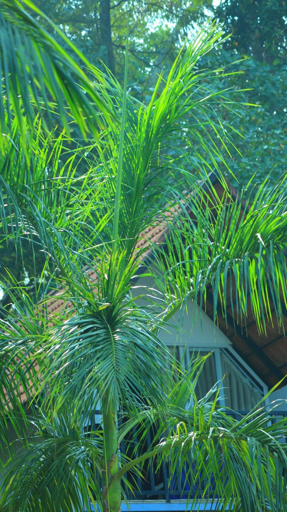Ripples Service Villas Kollam Dış mekan fotoğraf